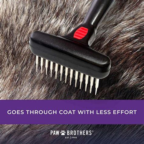 How Paw Brothers Magic Spring Undercoat Rake can help reduce allergies caused by pet dander